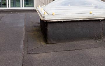 disadvantages of Moelfre flat roofs