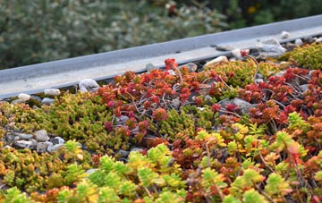 the cost of Moelfre green roof installation