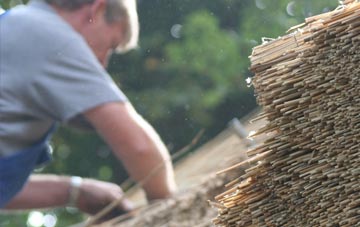 professional Moelfre thatchers